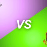 new zealand national cricket team vs bangladesh national cricket team match scorecard