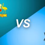 australia women's national cricket team vs new zealand women's national cricket team match scorecard